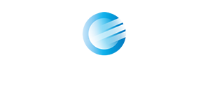 euler consultora